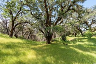 Residential Acreage,  Big Ridge road, Healdsburg, CA 95448 - 21