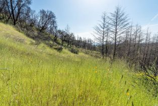 Residential Acreage,  Big Ridge road, Healdsburg, CA 95448 - 19