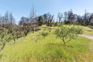 Residential Acreage,  Big Ridge road, Healdsburg, CA 95448 - 31