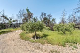 Residential Acreage,  Big Ridge road, Healdsburg, CA 95448 - 17
