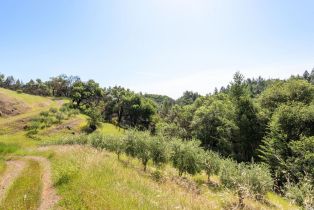 Residential Acreage,  Big Ridge road, Healdsburg, CA 95448 - 6