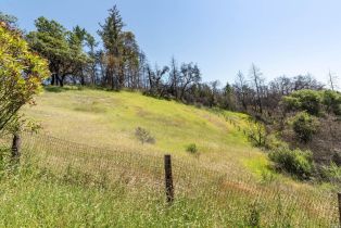 Residential Acreage,  Big Ridge road, Healdsburg, CA 95448 - 9