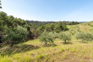 Residential Acreage,  Big Ridge road, Healdsburg, CA 95448 - 27