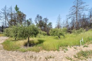 Residential Acreage,  Big Ridge road, Healdsburg, CA 95448 - 38