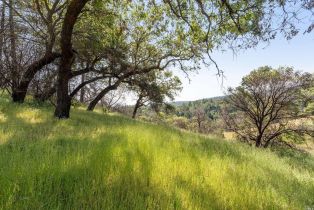 Residential Acreage,  Big Ridge road, Healdsburg, CA 95448 - 13