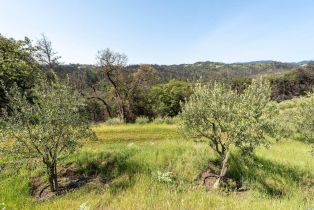 Residential Acreage,  Big Ridge road, Healdsburg, CA 95448 - 4