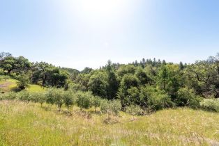 Residential Acreage,  Big Ridge road, Healdsburg, CA 95448 - 5