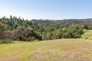 Residential Acreage,  Big Ridge road, Healdsburg, CA 95448 - 3