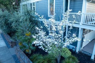 Single Family Residence,  Yount street, Yountville, CA 94599 - 94