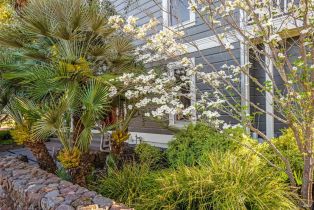 Single Family Residence,  Yount street, Yountville, CA 94599 - 96