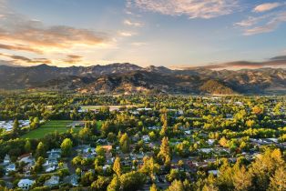 Single Family Residence,  High street, Calistoga, CA 94515 - 51