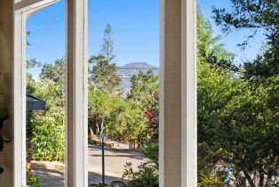 Single Family Residence,  High street, Calistoga, CA 94515 - 12