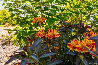 Single Family Residence,  Zachary lane, Glen Ellen, CA 95404 - 65