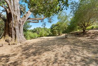 Single Family Residence, Vine Hill road, Sebastopol, CA 95472 - 91