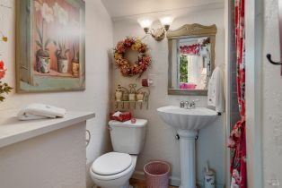 Single Family Residence, Vine Hill road, Sebastopol, CA 95472 - 69