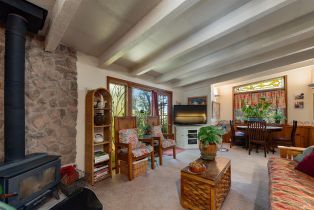 Single Family Residence, Vine Hill road, Sebastopol, CA 95472 - 75