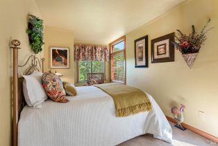 Single Family Residence, Vine Hill road, Sebastopol, CA 95472 - 30