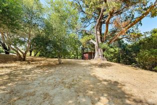 Single Family Residence, Vine Hill road, Sebastopol, CA 95472 - 89