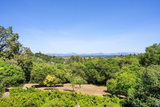 Single Family Residence, Vine Hill road, Sebastopol, CA 95472 - 37