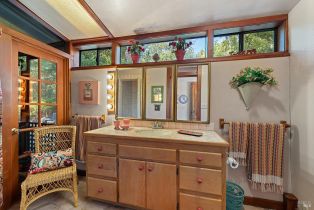 Single Family Residence, Vine Hill road, Sebastopol, CA 95472 - 46