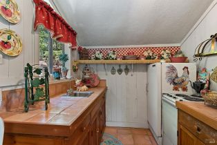 Single Family Residence, Vine Hill road, Sebastopol, CA 95472 - 64