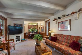 Single Family Residence, Vine Hill road, Sebastopol, CA 95472 - 76