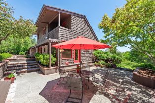 Single Family Residence, Vine Hill road, Sebastopol, CA 95472 - 4