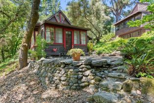 Single Family Residence, Vine Hill road, Sebastopol, CA 95472 - 60