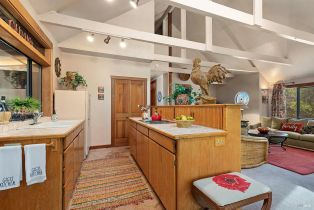 Single Family Residence, Vine Hill road, Sebastopol, CA 95472 - 52