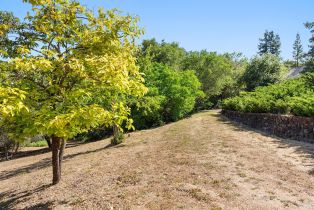 Single Family Residence, Vine Hill road, Sebastopol, CA 95472 - 88