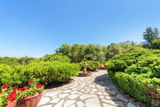 Single Family Residence, Vine Hill road, Sebastopol, CA 95472 - 84