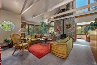 Single Family Residence, Vine Hill road, Sebastopol, CA 95472 - 48