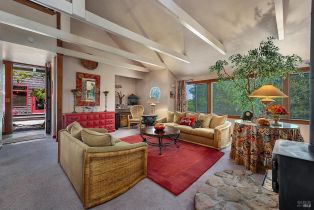 Single Family Residence, Vine Hill road, Sebastopol, CA 95472 - 50