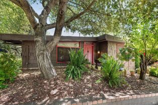 Single Family Residence, Vine Hill road, Sebastopol, CA 95472 - 71