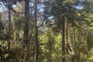 Agriculture,  Siri road, Russian River, CA 95446 - 23