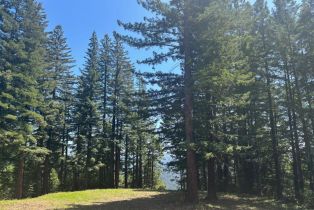 Agriculture,  Siri road, Russian River, CA 95446 - 27