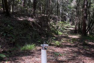 Agriculture,  Siri road, Russian River, CA 95446 - 29
