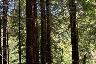 Agriculture,  Siri road, Russian River, CA 95446 - 9