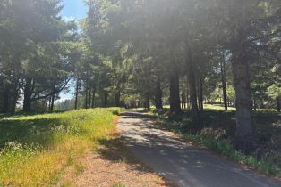Agriculture,  Siri road, Russian River, CA 95446 - 22