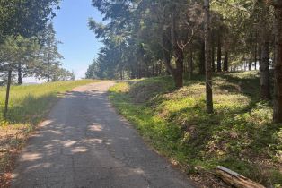 Agriculture,  Siri road, Russian River, CA 95446 - 2