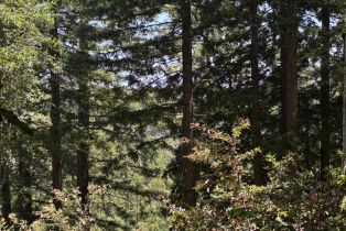 Agriculture,  Siri road, Russian River, CA 95446 - 14