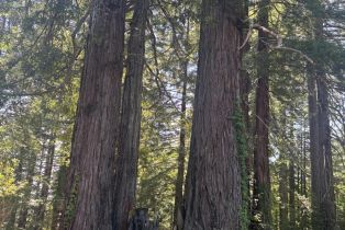 Agriculture,  Siri road, Russian River, CA 95446 - 25