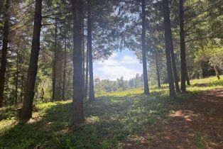 Agriculture,  Siri road, Russian River, CA 95446 - 10