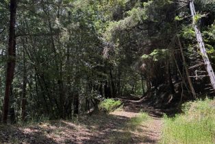 Agriculture,  Siri road, Russian River, CA 95446 - 20
