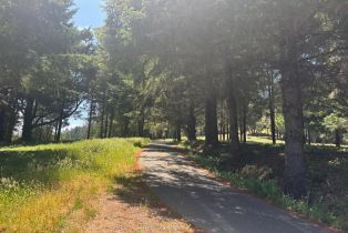 Agriculture,  Siri road, Russian River, CA 95446 - 3