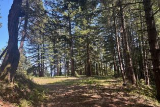 Agriculture,  Siri road, Russian River, CA 95446 - 26