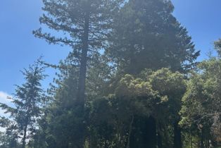Agriculture,  Siri road, Russian River, CA 95446 - 24