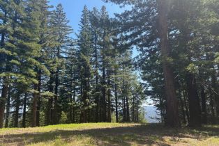 Agriculture,  Siri road, Russian River, CA 95446 - 11