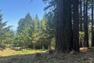 Agriculture,  Siri road, Russian River, CA 95446 - 7