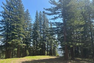 Agriculture,  Siri road, Russian River, CA 95446 - 30